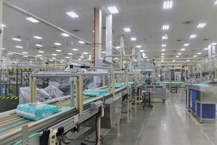 幫寶適蘿崗工廠五周年 聚合全球優勢資源,更好服務中國家庭