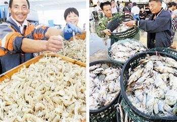 渤海休漁結束，開海喜迎豐收