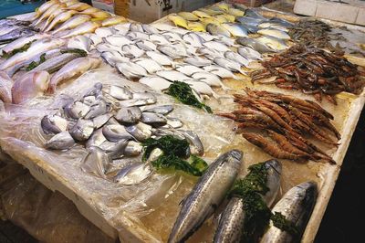 武夷山路海鮮市場 休漁期依舊琳瑯滿目，價格親民選擇多樣