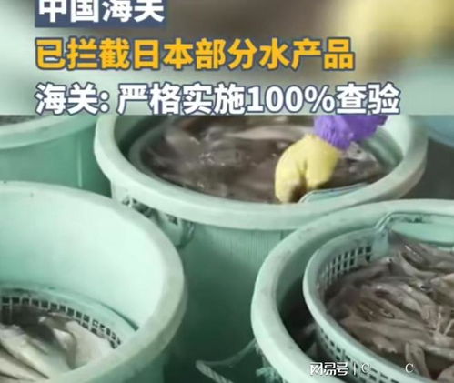 中國海關(guān)強化對日本水產(chǎn)品進口監(jiān)管，日本媒體高度關(guān)注農(nóng)產(chǎn)品安全議題