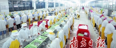 供給側(cè)結(jié)構(gòu)性改革 驅(qū)動廣東漁業(yè)現(xiàn)代化與農(nóng)產(chǎn)品升級的新引擎