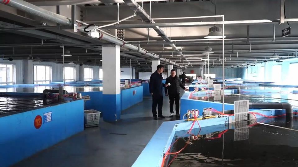 冬日暖陽里，聽一曲鄉(xiāng)村振興的“魚米”交響