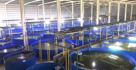 德清漁業(yè)養(yǎng)殖尾水治理成果顯著，再獲國家級(jí)專家關(guān)注