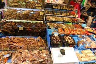 冬日戀歌 1月中下旬首爾-濟州島14日蜜月游與濟州島婚紗攝影攻略